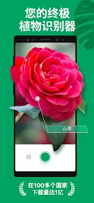 JROQcc1wegGUkYEyoWOQL0DgU7xcXPTLYpF4k7A4ll4P1OaGrws_1ftm7o3fR6taNfk=w526-h296-rw